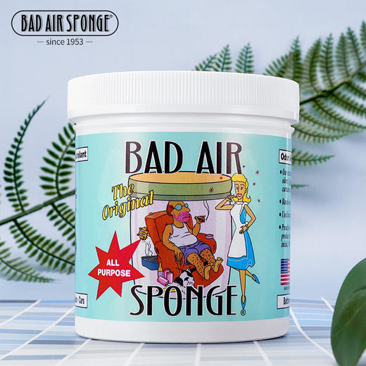 【香港直邮】 美国Bad Air Sponge空气净化剂白宫新房异味甲醛清除剂 400g 商品图3