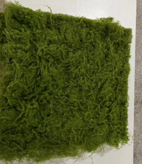 仿真枯枝苔藓50*50(甜品台）1*1张