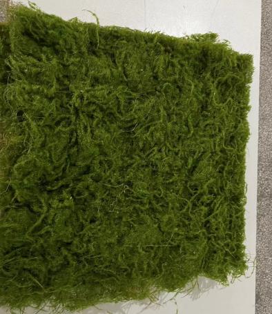 仿真枯枝苔藓50*50(甜品台）1*1张 商品图0