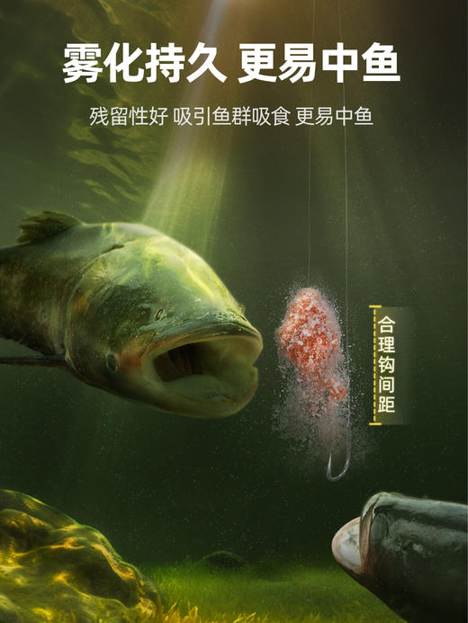 汉鼎鲢鳙子线双钩成品绑好正品新关东鱼钩有刺有刺钓组弹簧钩鱼钩 商品图3