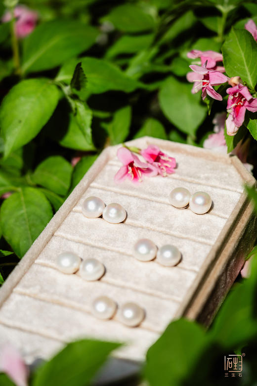 赛澳白-天然珍珠耳钉（12-13mm左右） 商品图9