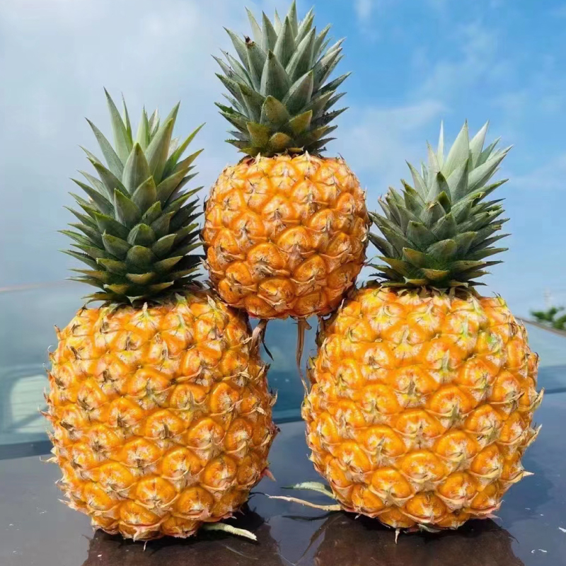 海南树上熟 不催熟 不冷藏 不喷保鲜剂芒*果*凤*梨 | 凤*梨界天花板 高品质 高复购