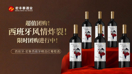 西班牙-宏象西班牙精选红葡萄酒2022年（团购聚划算，整箱6瓶仅￥190）王炸福利 商品图1