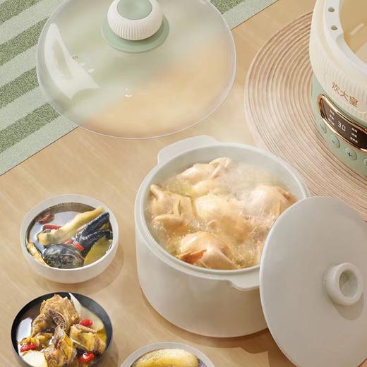 【绮】炊大皇多功能电炖锅CDH-DG0210 商品图2
