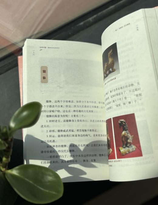 《吉祥中国：器物里的吉祥符号》 商品图3