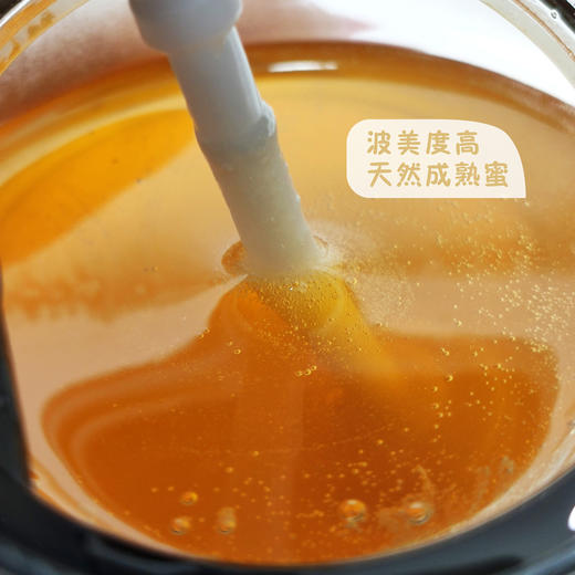 农家山花蜜 500g 商品图4