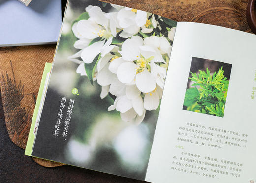 时节养生——中国人的健康智慧（张忠德教授团队十年中医保健智慧） 商品图5