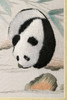蜀绣单面绣-熊猫戏水 商品缩略图5