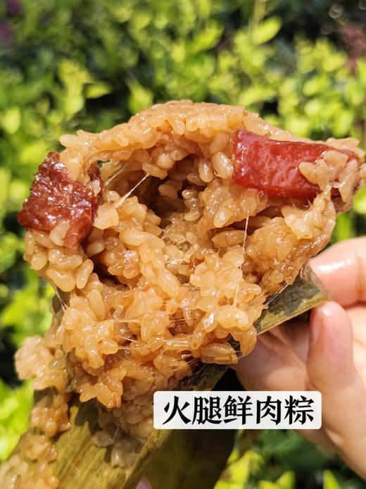 新货预订 | 嘉兴粽【单个装】好食材好味道（定制透明真空包装 ）   保质期180天 请常温避光阴凉处保存【端午粽】 商品图4