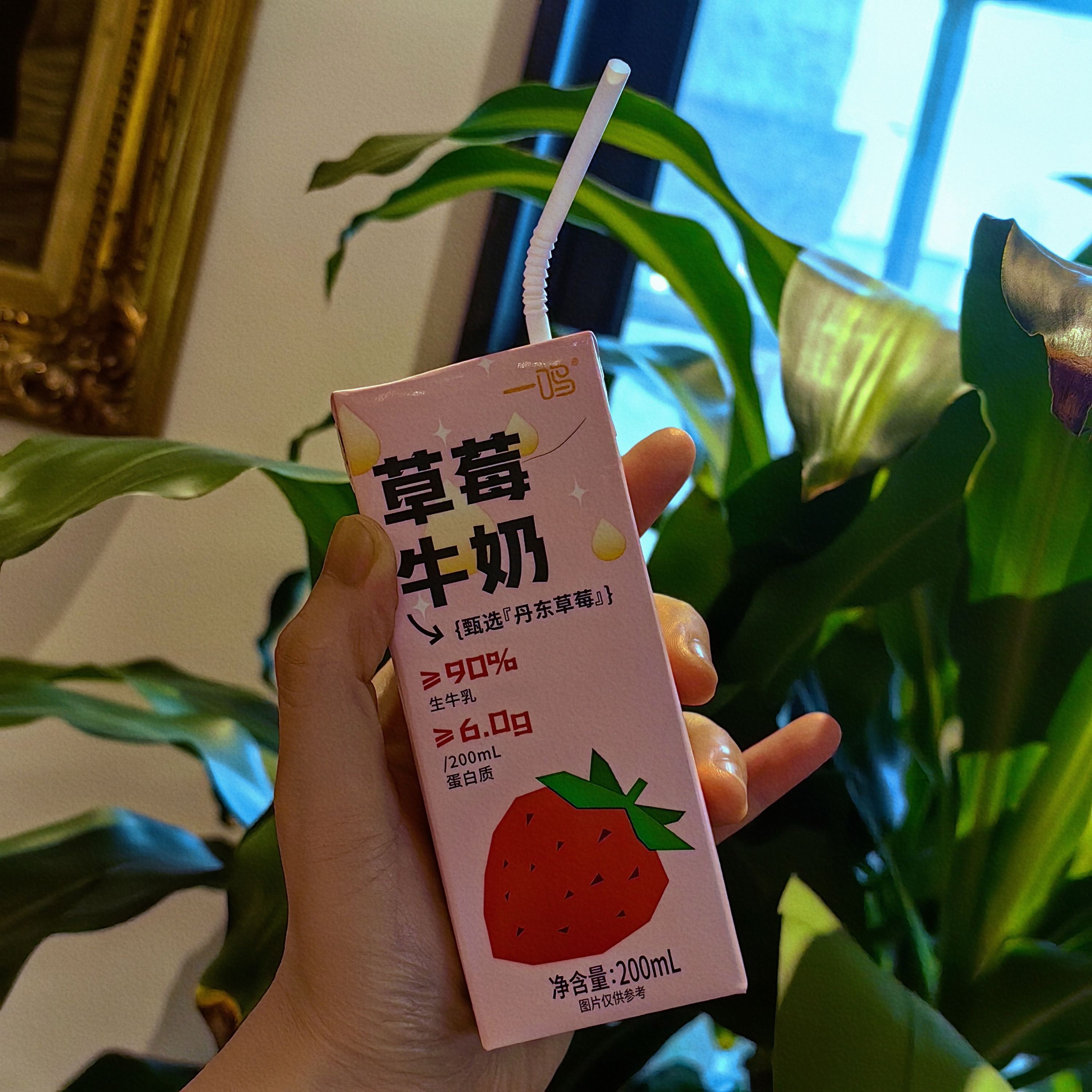 [屁侠推荐]一鸣草莓牛奶 生牛乳高达90% 丹东新鲜草莓制酱添加 3箱装