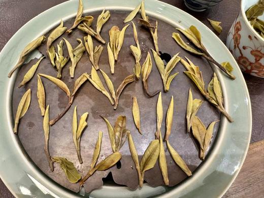 24春 荒野 花果香  一级牡丹 400克 或900克 商品图13