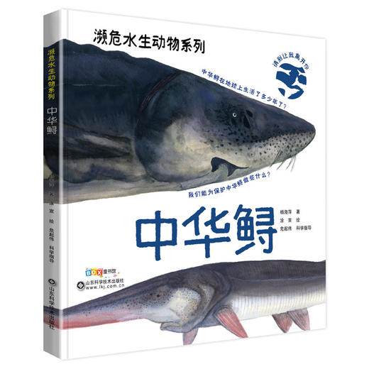 濒危水生动物系列——中华鲟 商品图0