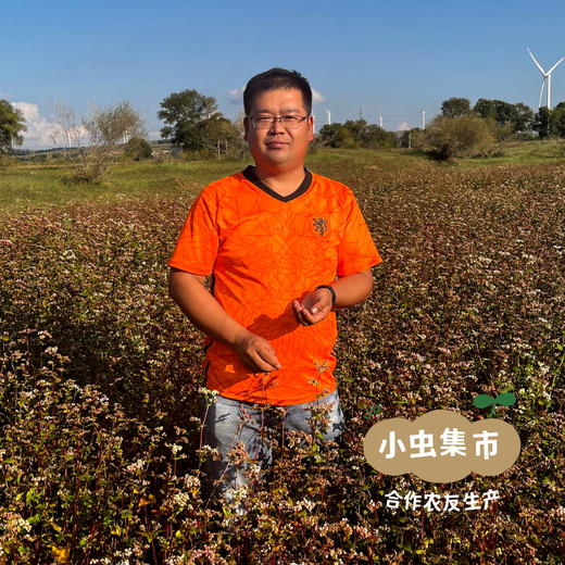 生态红光头荞麦面 200g/袋 | 合作农友生产，产自甘肃武威古浪，生产者：尹发华 &【公平贸易农人定价】 商品图3