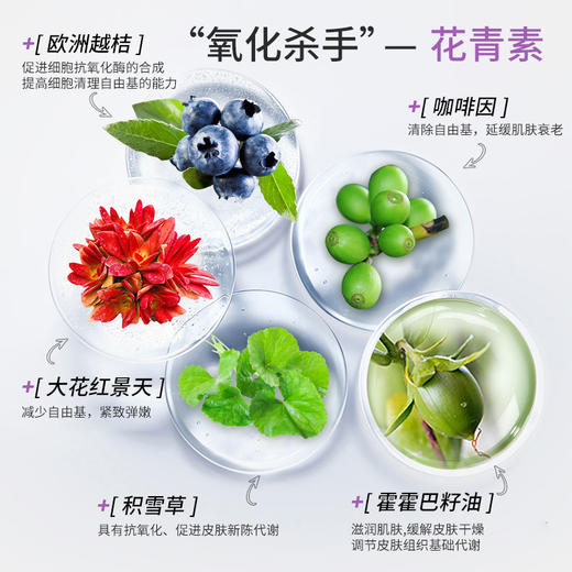 小鲸喜 二代紧致淡纹冻干面膜单片*10包装 商品图2