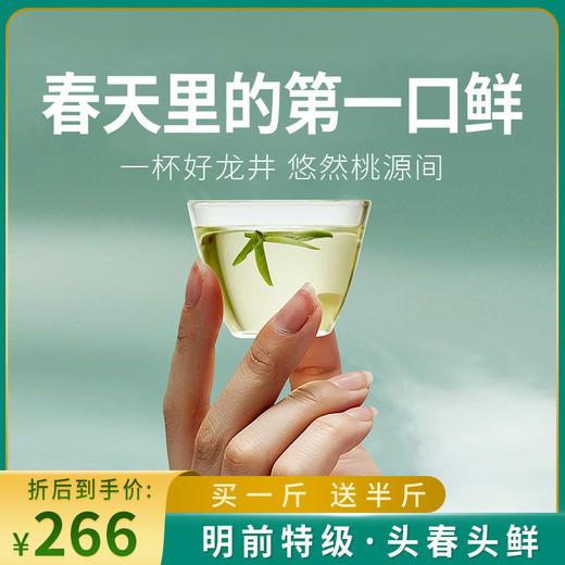 浙礼【2024春日鲜·明前龙井】头鲜嫩芽 鲜爽十足 商品图0