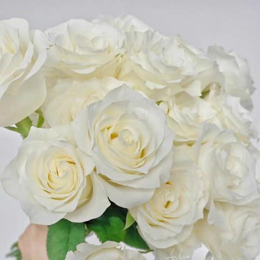 新鲜鲜花  骄傲白玫瑰1束（10支） 商品图4