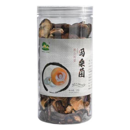 马桑茵 商品图1