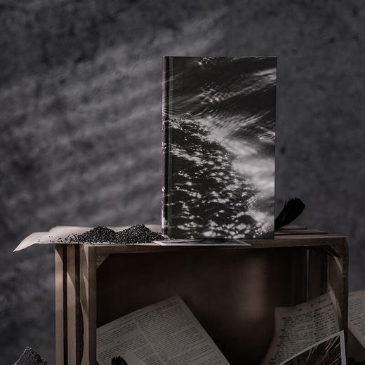 温室 毕希纳奖诺贝尔文学奖之作 沃尔夫冈·克彭  战后三部曲 商品图5