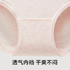 有棵树植物染莫代尔透气女士内裤-U3023 商品缩略图4