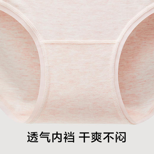 有棵树植物染莫代尔透气女士内裤-U3023 商品图4