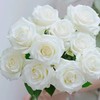 新鲜鲜花  骄傲白玫瑰1束（10支） 商品缩略图3