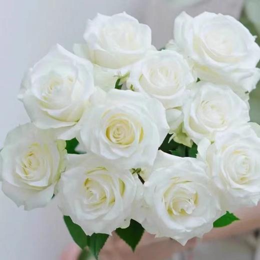 新鲜鲜花  骄傲白玫瑰1束（10支） 商品图3