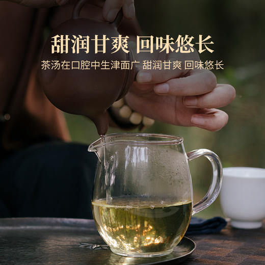2022年薄荷塘龙珠罐装100克云南易武普洱生茶甜润甘爽龙珠茶8-9克/粒 商品图4