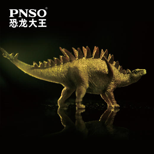 PNSO恐龙大王成长陪伴模型19华阳龙露夕 商品图3