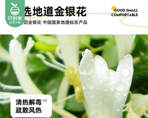 金豆芽金银花柚子汁/1箱（100ml*13包）生产日期：4月10日 商品图1