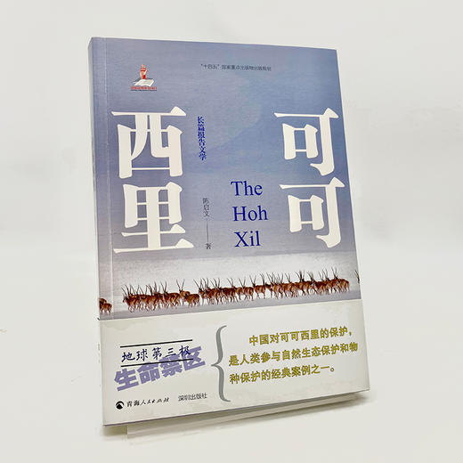 可可西里 商品图4