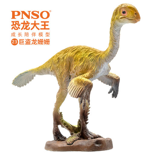PNSO恐龙大王成长陪伴模型23巨盗龙姗姗 商品图2