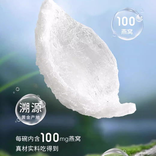 雪燕耳 有机牛奶椰香燕窝粥 252克/碗 商品图3