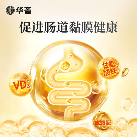 华畜-泻立停500g猪牛羊鸡鸭鹅调理肠道预防拉稀Z 商品图2