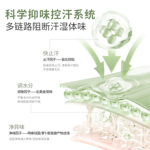 【青少年香体露】夏季必备止汗净味香体3合1 袋鼠妈妈爽身香体露30ml 商品图7