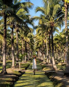 【境外】【古韵泰国】泰国清迈一地 6天5晚