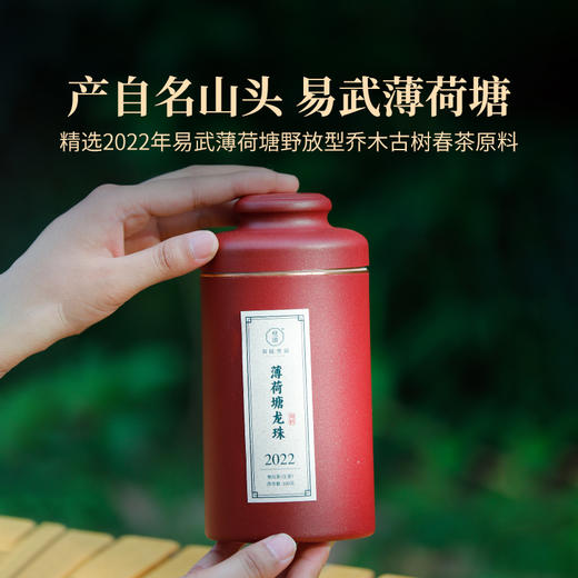 2022年薄荷塘龙珠罐装100克云南易武普洱生茶甜润甘爽龙珠茶8-9克/粒 商品图3