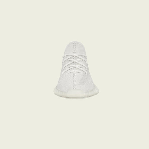 【阿迪达斯】YEEZY椰子鞋HO6316 商品图1