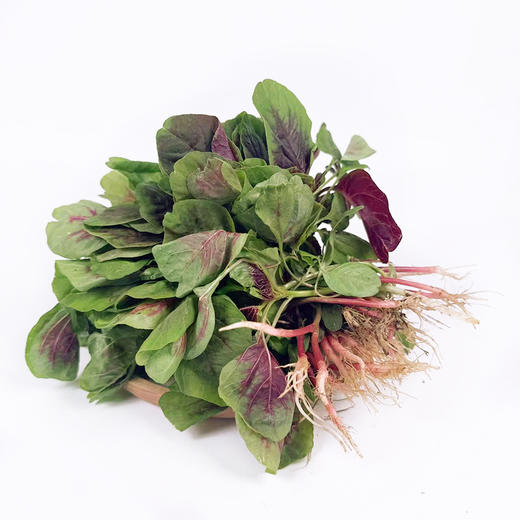 红苋菜500g 商品图2