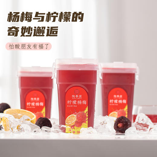 陶奉源柠檬杨梅复合果汁饮品380ml/瓶，果香四溢，清爽解腻！ 商品图4