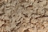 胚芽藜麦面条 商品缩略图2