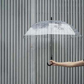 漫游伞 结实抗风全透明直杆自动雨伞