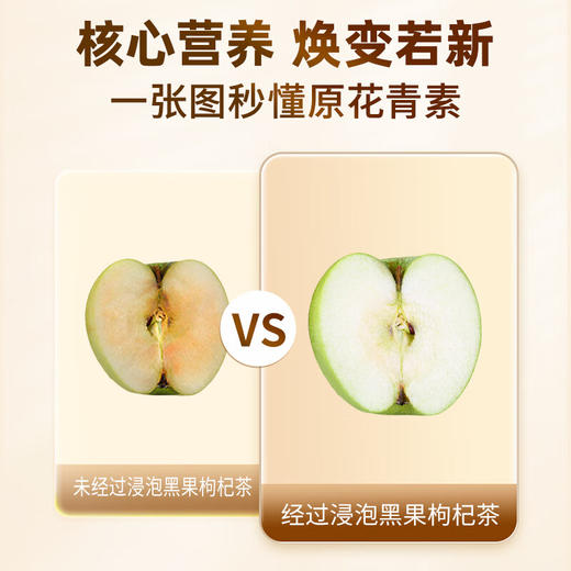 【正宗同仁堂品牌】北京同仁堂 青海柴达木特级黑果枸杞60克/瓶*2罐 礼盒包装SY 商品图5