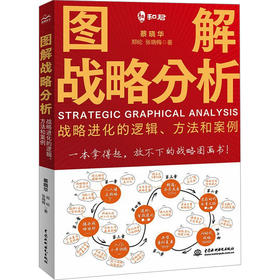 图解战略分析 战略进化的逻辑、方法和案例