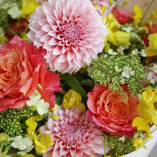 寄春野 Endless Spring 商品图2