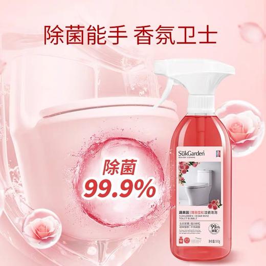 蔬果园浆果酵素生活套装5件套（阳光富士餐具净800g+雪松洁瓷泡泡500g+绚丽繁樱浴室清洁500g+甜柚时光多功能清洁剂500g+橘彩星光油污净500g） 商品图2