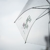 漫游伞 结实抗风全透明直杆自动雨伞 OWSPACE原创 商品缩略图6