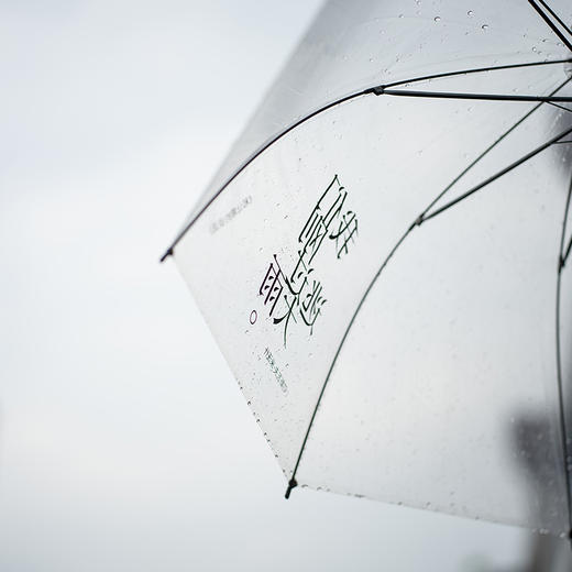 漫游伞 结实抗风全透明直杆自动雨伞 OWSPACE原创 商品图6