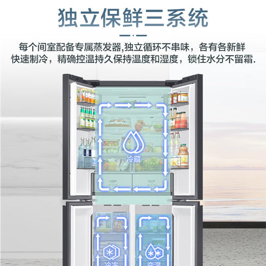 三星（SAMSUNG）501升三星AI神冰箱 超薄嵌入式四开门冰箱一级能效变频三系统家用大容量RF50DG55513GSC 青锦灰 商品图5