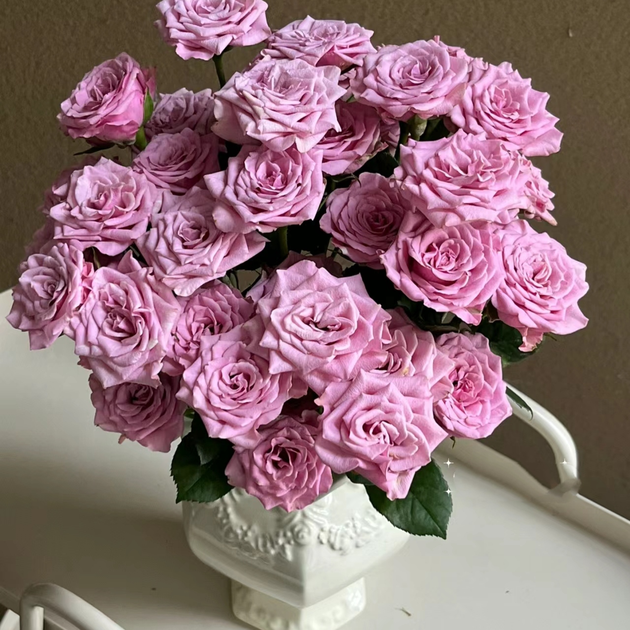 群友专享 | 多头玫瑰-紫色系-诺拉 10枝30朵+