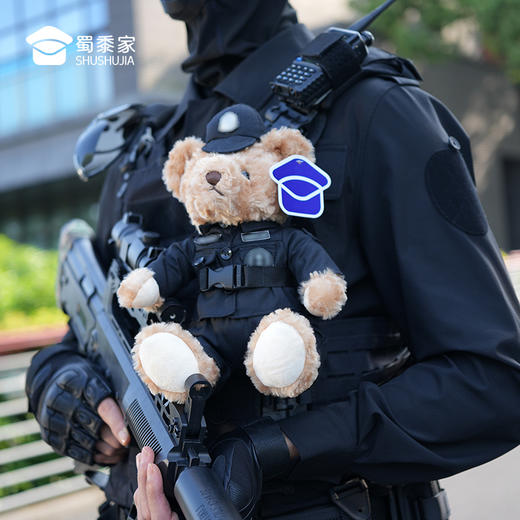 【坐姿熊小特】毛绒公仔玩具儿童毛绒小熊玩偶布娃娃送礼礼品礼物 商品图2